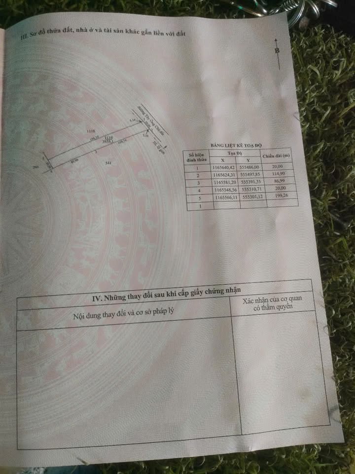 Đất CLN 4000m² Tân Phước giá chỉ 1 tỷ - Đầu tư sinh lời ngay!