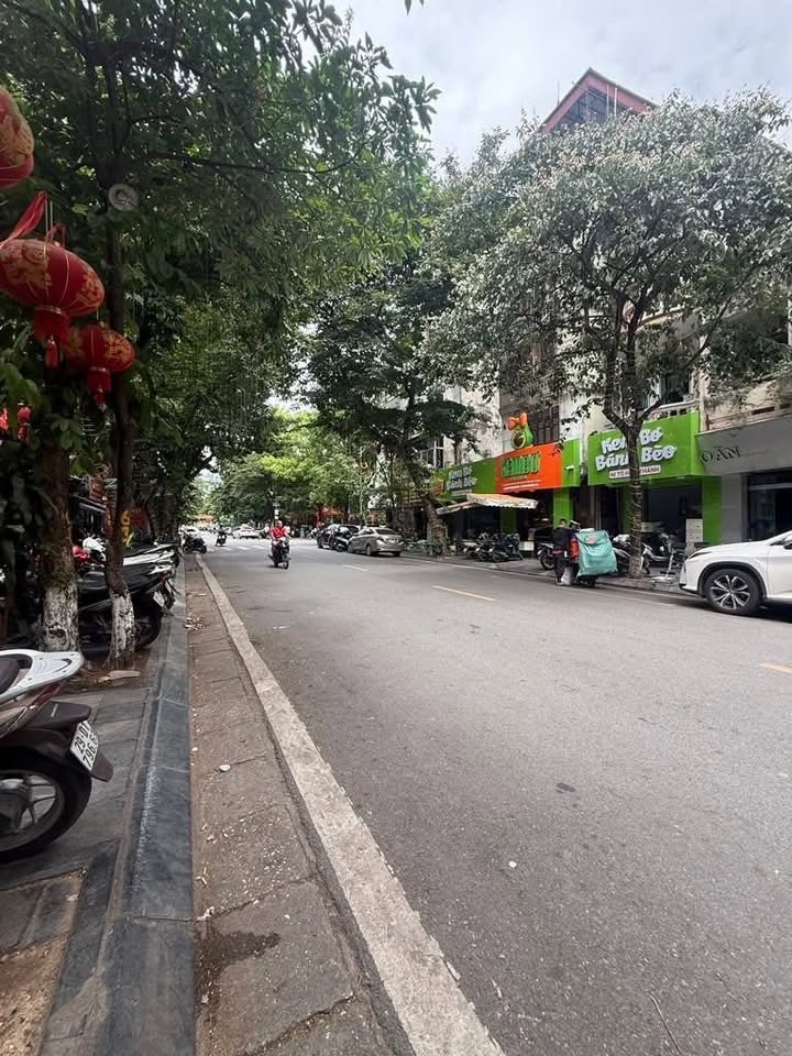 Nhà phố Tô Hiến Thành 50m² giá 16.2 tỷ - Kinh doanh sầm uất, vị trí đắc địa!