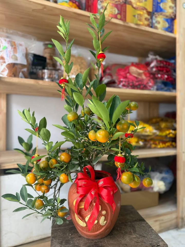 Đất nền Bích Động, Việt Yên 82.5m² giá siêu rẻ - Kinh doanh tuyệt vời!