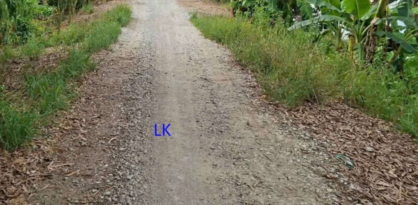 Bán đất lúa 31.000m² tại Mỹ Quý, Tháp Mười - Giá chỉ 5.58 tỷ, thương lượng ngay!