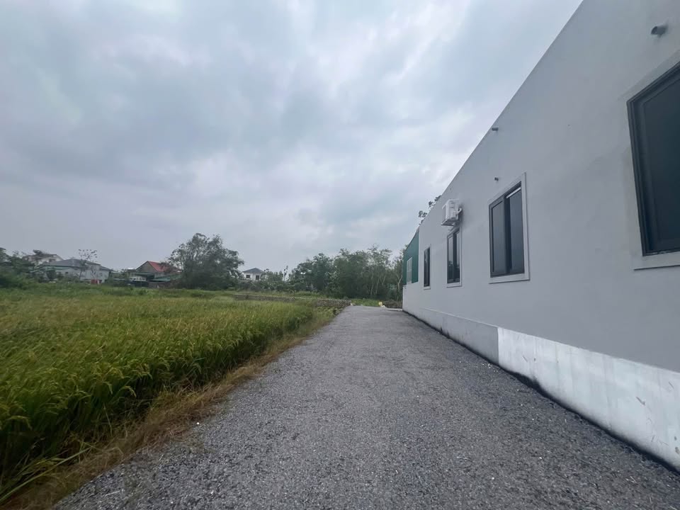 Đất nền Nghi Phong, Nghi Lộc 66m² giá 800 triệu - Đường nhựa rải thảm, sẵn sàng sở hữu!