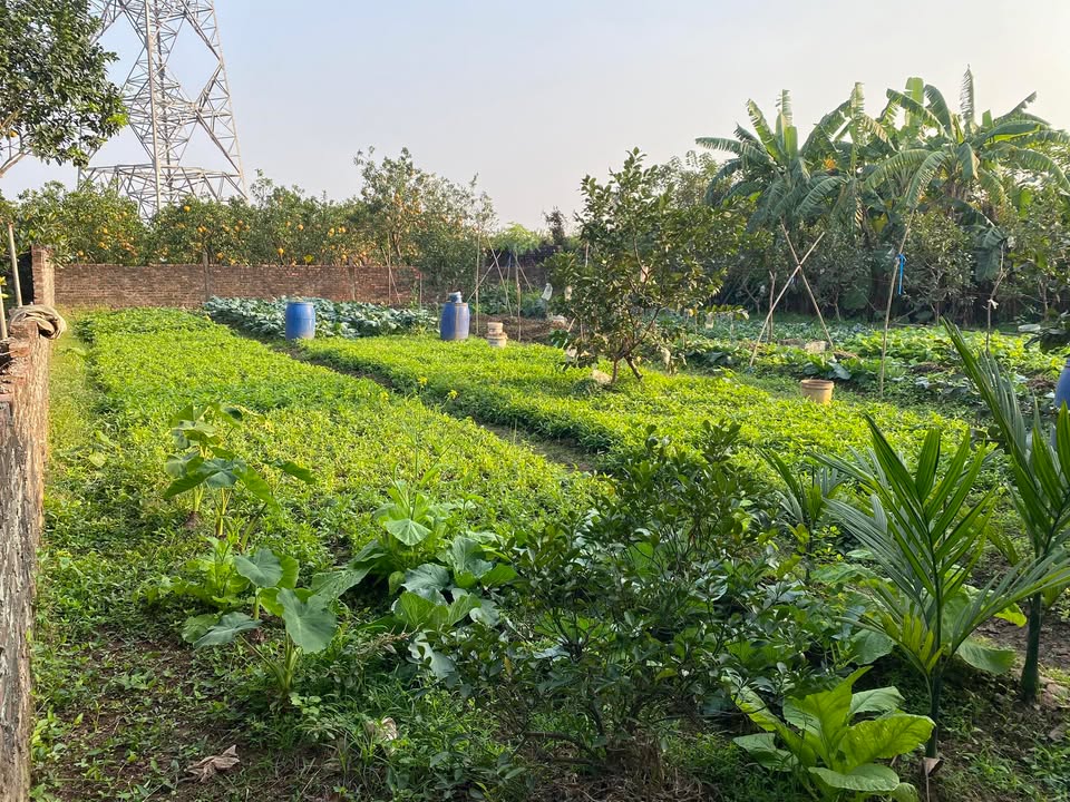 Đất bãi 360m² tại Yên Sơn - Quốc Oai, giá thỏa thuận - Cơ hội đầu tư hấp dẫn!