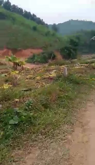 Đất nông nghiệp Văn Hán, Thái Nguyên 90.000m² giá 3.9 tỷ - Cơ hội đầu tư vàng!