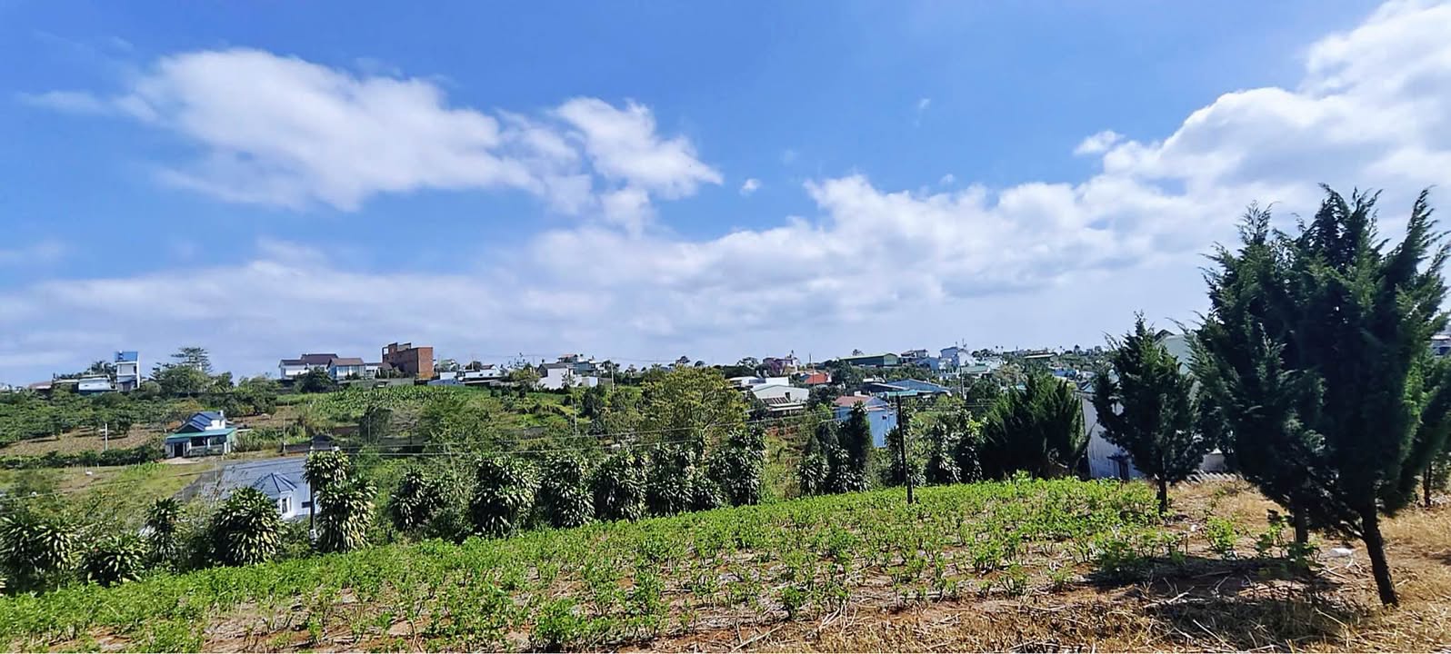 Đất nền Bảo Lộc 903m² giá 2 tỷ - Vị trí đắc địa gần trung tâm!