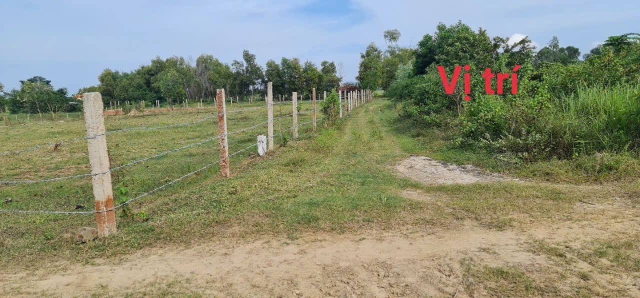 Đất nền Ninh Hòa 314.3m² giá chỉ hơn 5xx triệu - Đầu tư sinh lời ngay!