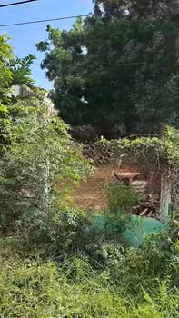 Đất mặt tiền 2 mặt tại Phan Rí Cửa 175m² giá 1.5 tỷ - Đầu tư sinh lời ngay!