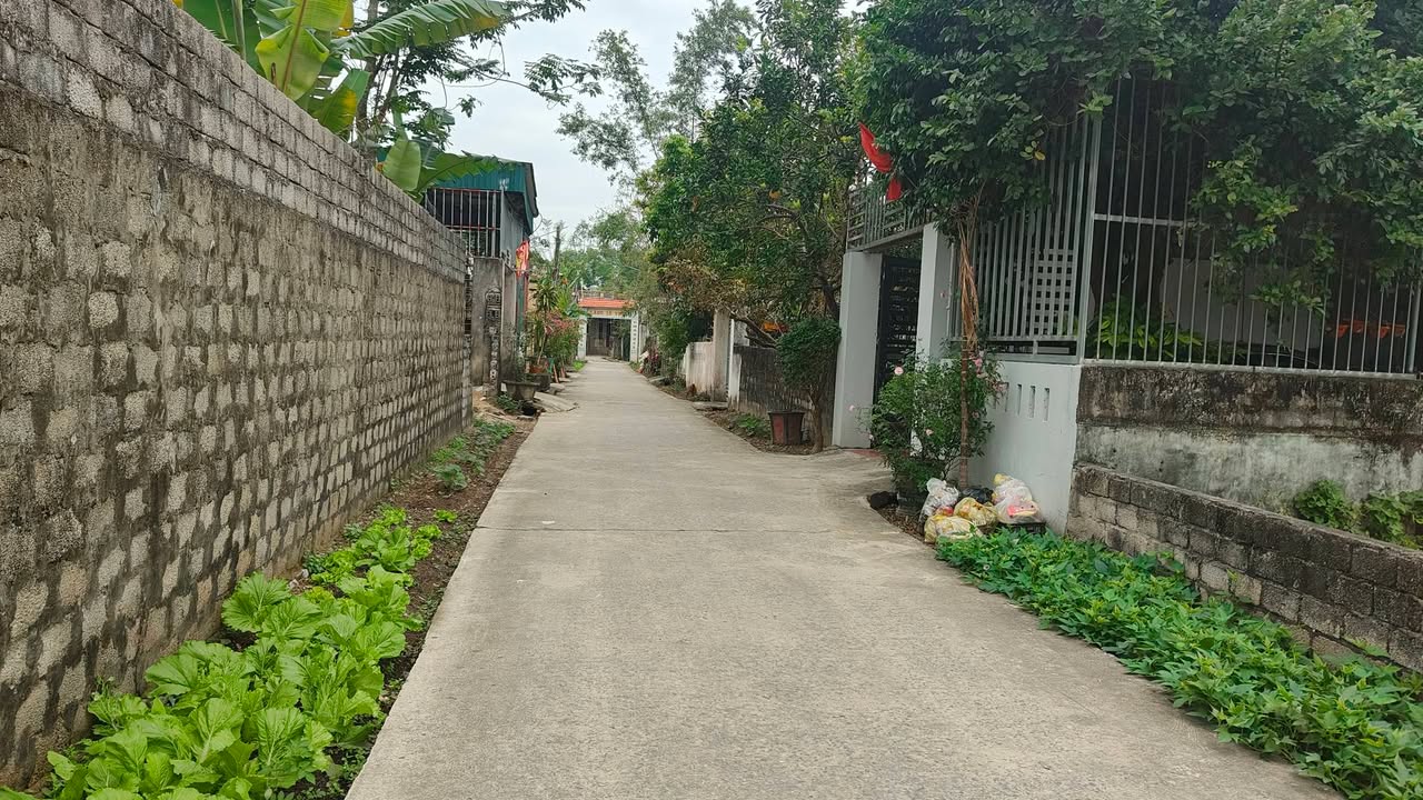 Đất nền đẹp Nghi Sơn 300m² giá 2 tỷ - Gần trục chính, ô tô vào tận nơi!