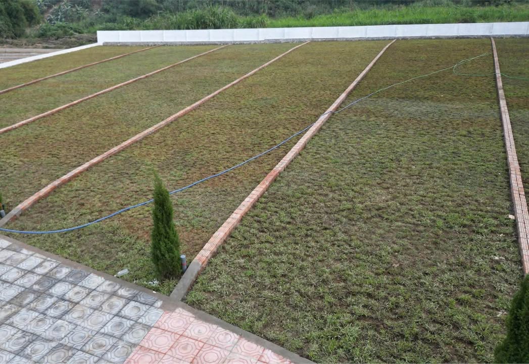 Đất nền Cư Yên Lương Sơn 401m² giá 1.93 tỷ - Pháp lý rõ ràng, tiện ích đầy đủ!