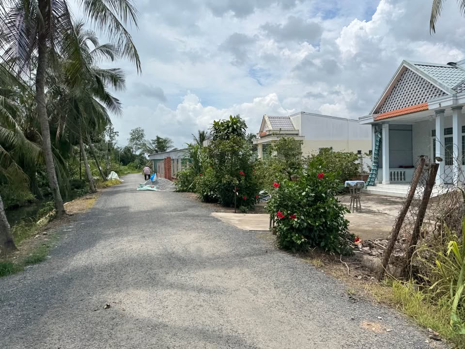 Đất mặt tiền Quốc lộ 53, Phước Hảo, Châu Thành, 985m² chỉ 594 triệu - Cơ hội đầu tư hấp dẫn!