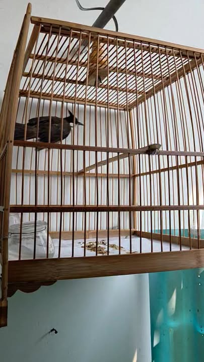 Căn hộ Ecolakeview H3B 80m² giá 6.66 tỷ - Chính chủ bán gấp!