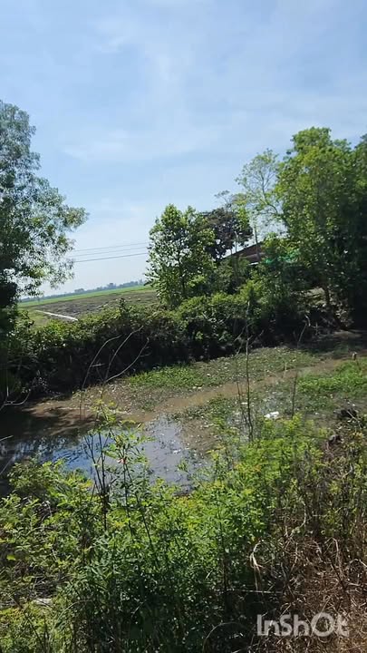 Đất nông nghiệp 20.000m² mặt tiền 200m tại Bình Thanh, Mộc Hóa - Giá chỉ 2.6 tỷ!