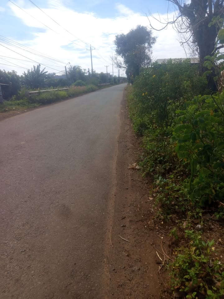 Đất 2 mặt tiền Tân Hội 305.3m² giá chỉ 1.5 tỷ - Sổ đỏ chính chủ!