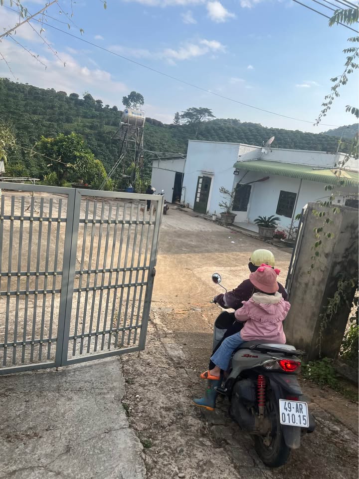 Lô đất mặt đường nhựa xã Phi Tô 1872m² giá 130 triệu - Cần bán gấp!