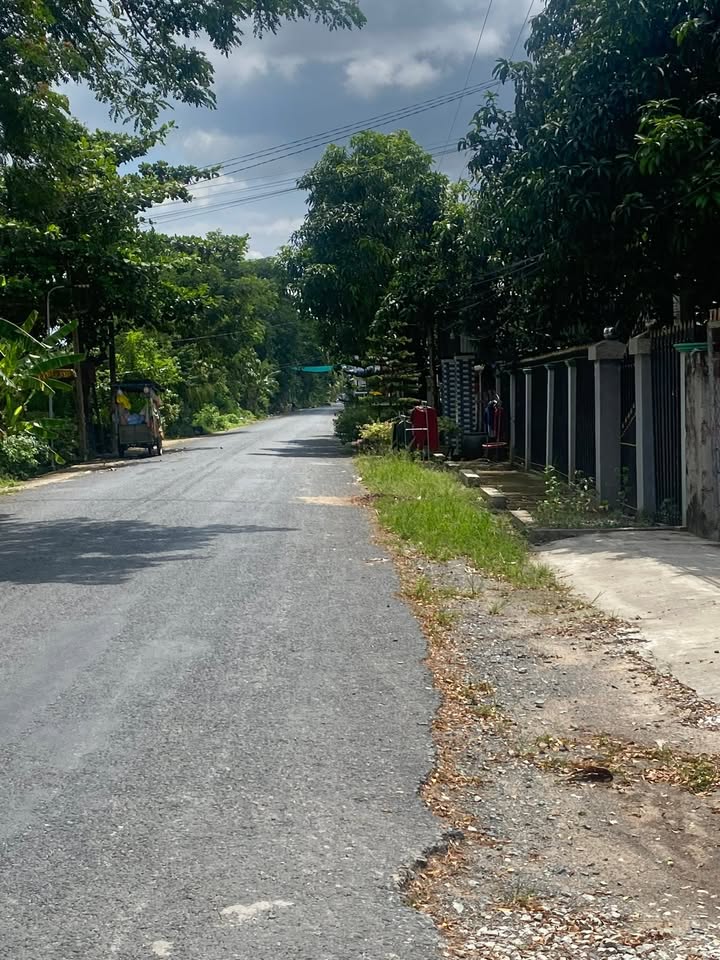 Đất vườn 10.000m² tại Bình Phước Xuân - Giá chỉ 200 triệu - Tiềm năng sinh lời cao!