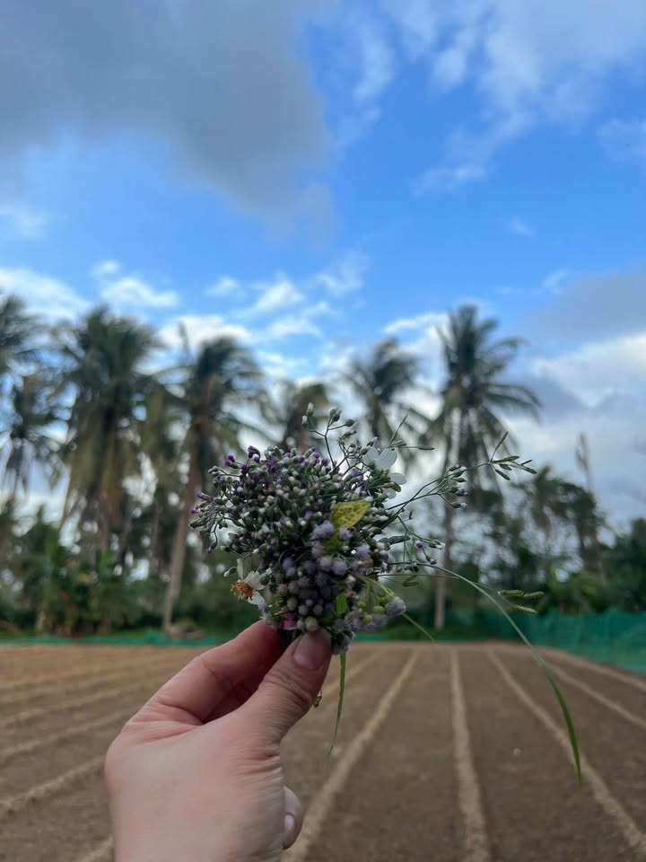 Nhà nguyên căn hẻm 1 Đường Số 19, Gò Vấp 100m² - Giá 20 triệu/tháng, phù hợp cho gia đình đông người!