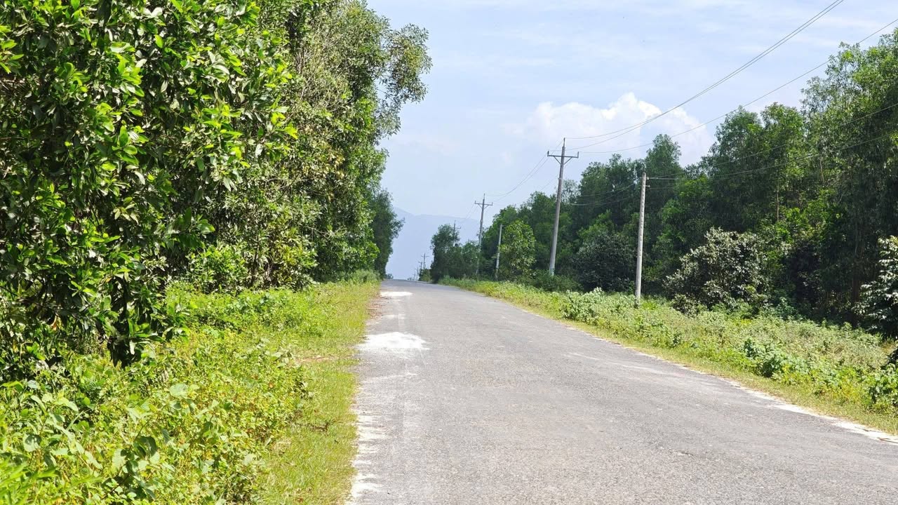 Đất nền mặt tiền Lý Nam Đế, Phước Hội, La Gi 327,5m² giá chỉ 850 triệu - Cơ hội đầu tư hấp dẫn!