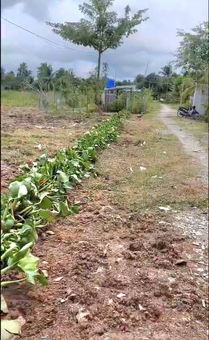 Đất làm mô hình nhà vườn ấp Minh Tân, xã Châu Thành, 2000m² - Giá hấp dẫn chỉ 1.45 tỷ!