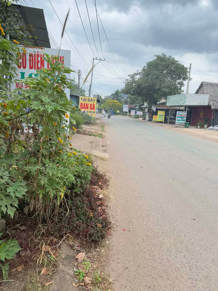 Nhà cấp 4 Tân Tiến, Đồng Phú 312m² giá 2.9 tỷ - Đường nhựa, sổ hồng chính chủ!