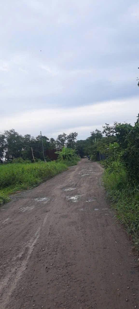 Đất thổ cư Đông Thạnh Hóc Môn 2000m² giá 11 tỷ - Sổ đỏ chính chủ, thuận tiện đầu tư!