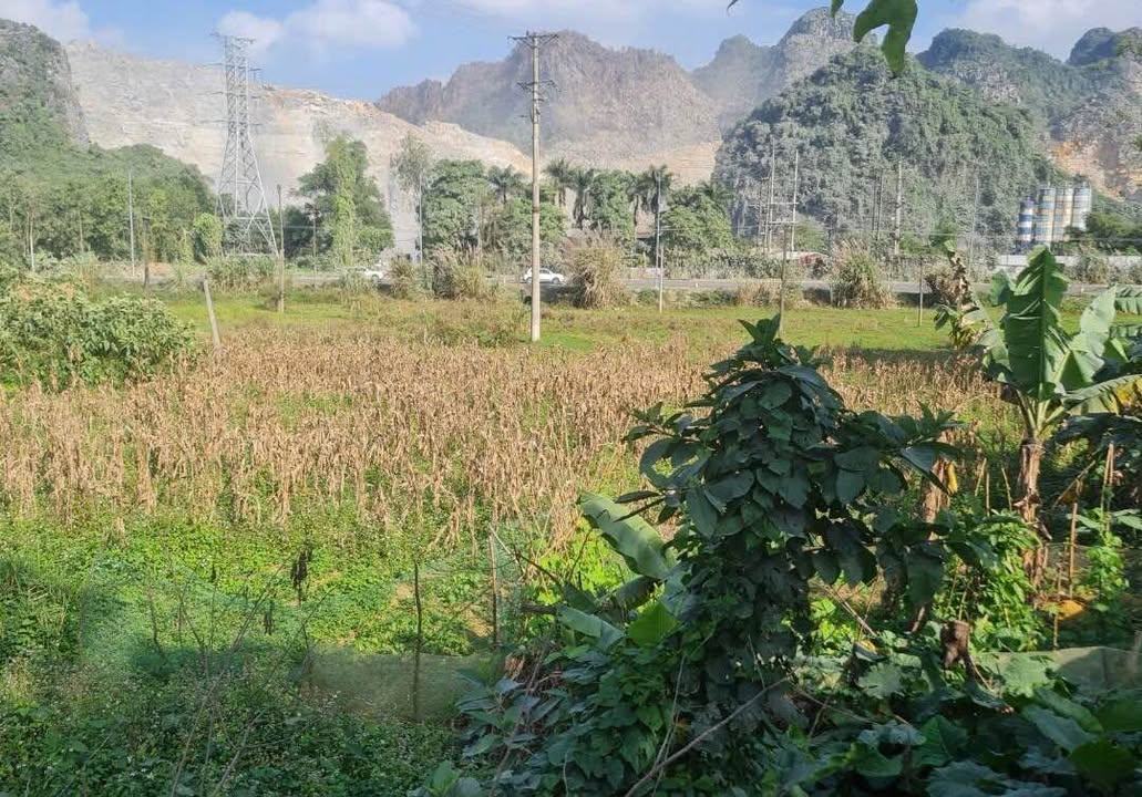 Đất cho thuê mặt đường HCM tại Cao Dương 1,1ha - Thích hợp kinh doanh mọi ngành nghề