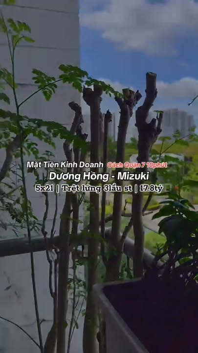 Bán nhà Mizuki Park Bình Chánh 105m² giá 17.8 tỷ - Thang máy riêng tiện nghi!