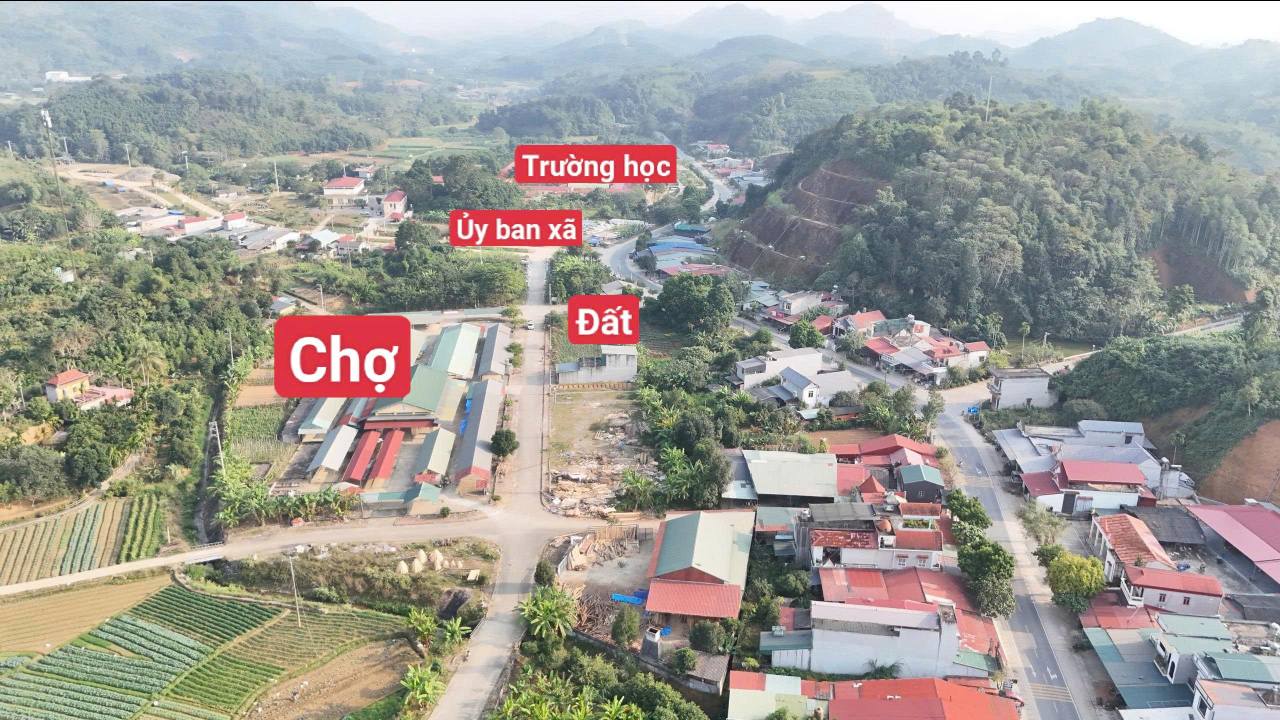 Lô đất kinh doanh Phong Niên Bảo Thắng 135,1m² - Đối diện chợ, giá hấp dẫn!