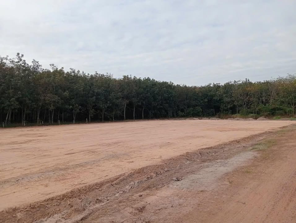 Nhà xưởng cho thuê tại Bến Cát 3000m² chỉ 135 triệu/tháng - Diện tích rộng rãi, phù hợp sản xuất!