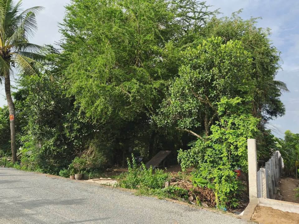 Đất nền Vĩnh Hậu Mới, 544m² chỉ 850 triệu - Giá tốt không thể bỏ qua!