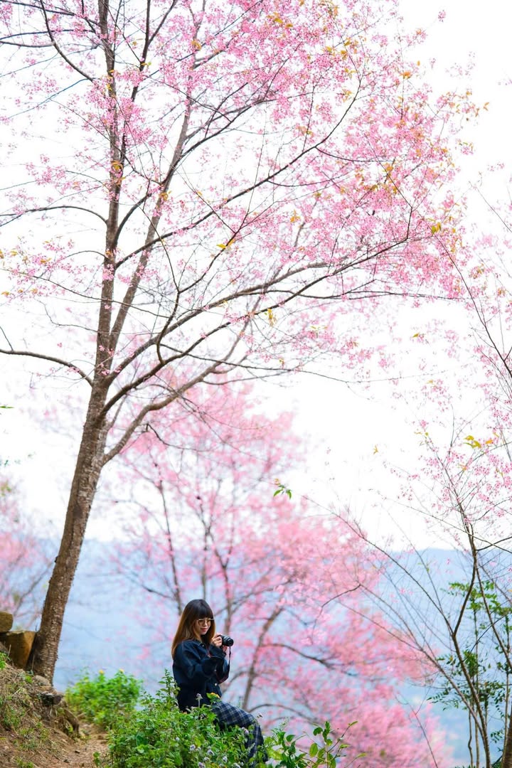 Đất nền Bình Chuẩn 63, 90m² giá 3.1 tỷ - Lô góc 2 mặt tiền kinh doanh đa ngành!