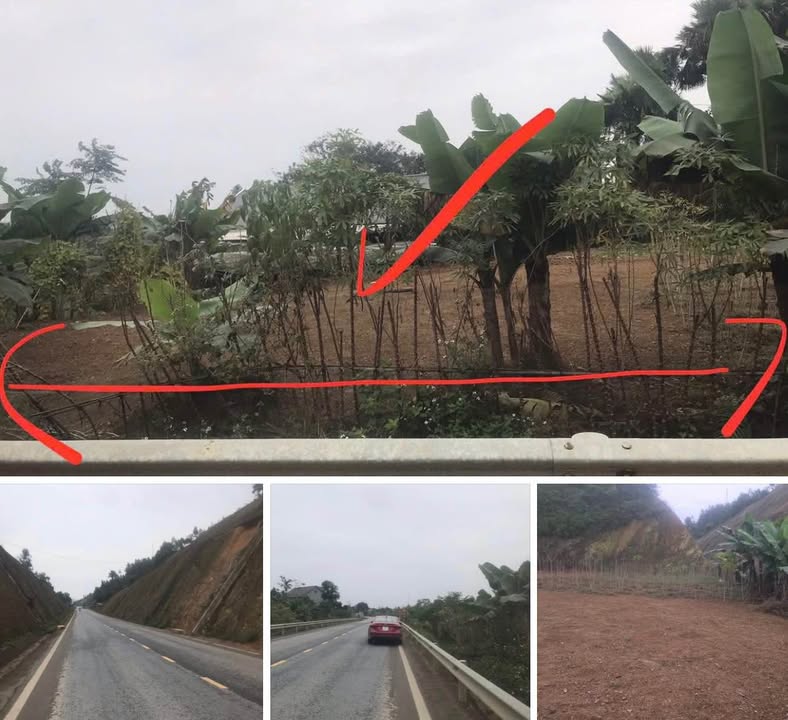 Đất mặt tiền đường Liên Vùng Tạ Xá 240m² giá 1 tỷ - Đầu tư sinh lời ngay!