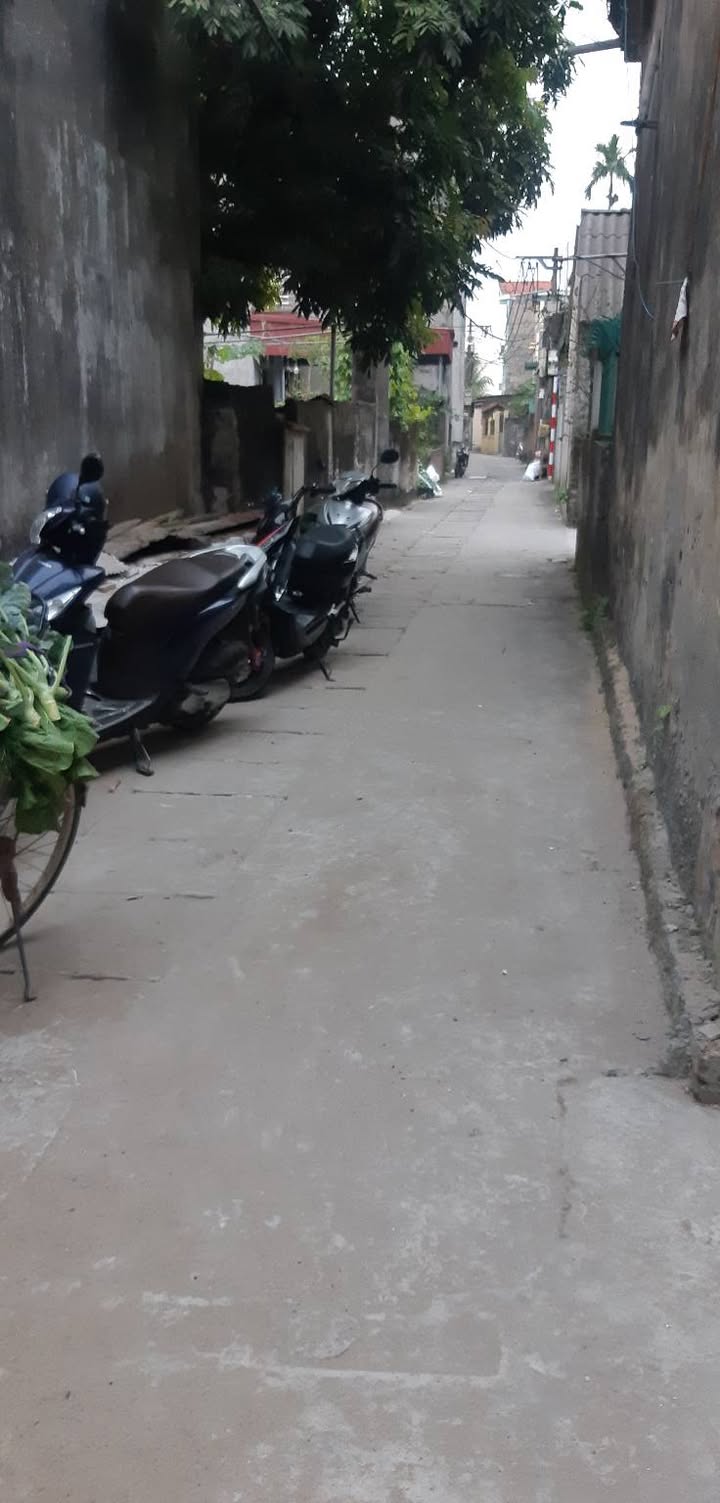 Đất nền Đặng Xá - Gia Lâm 48,8m² giá 3,8 tỷ - Cơ hội đầu tư hiếm có!