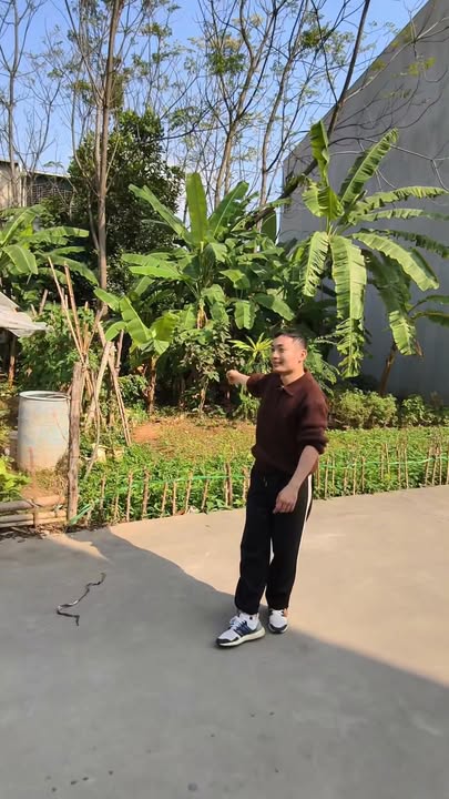 Đất đẹp KĐT Lạc Ngàn, 124m² giá 6 tỷ - Vị trí đắc địa, phong thủy tốt!