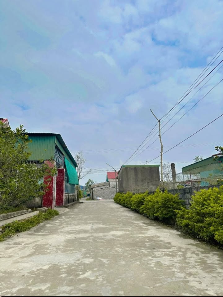 Đất thổ cư 222m² tại thôn Hưng Giang, xã Việt Tiến - Giá chỉ 2 tỷ!