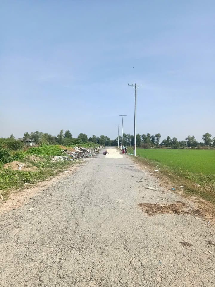 Đất nông nghiệp mặt tiền đường nhựa Xuân Thới Sơn 5000m² giá 25 tỷ - Cơ hội đầu tư sinh lời!