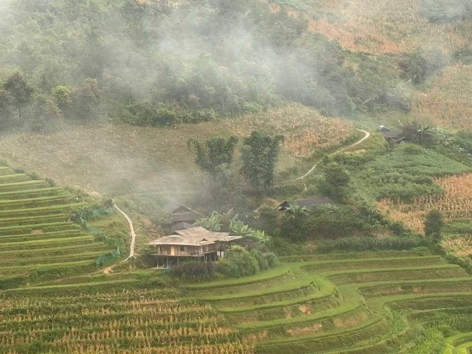 Đất nghỉ dưỡng La Pán Tẩn 10.000m² giá thỏa thuận - Cơ hội đầu tư sinh lời hấp dẫn!