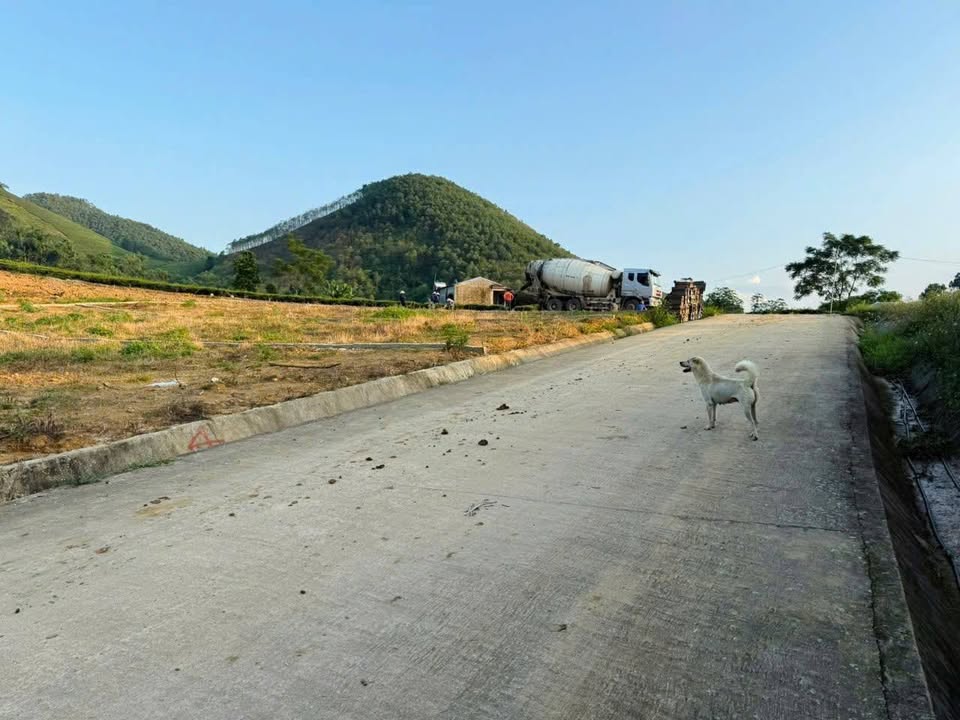 Đất nền Tân Sơn 130m² giá 100 triệu - Đường lớn kiên cố, cơ hội đầu tư hấp dẫn!