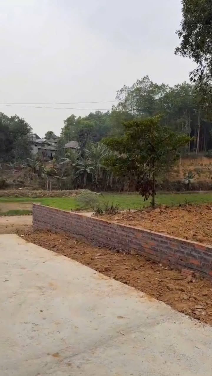 Đất nền Chí Tiên - Thanh Ba 55m² chỉ 200 triệu - Vị trí đắc địa, giao thông thuận lợi!