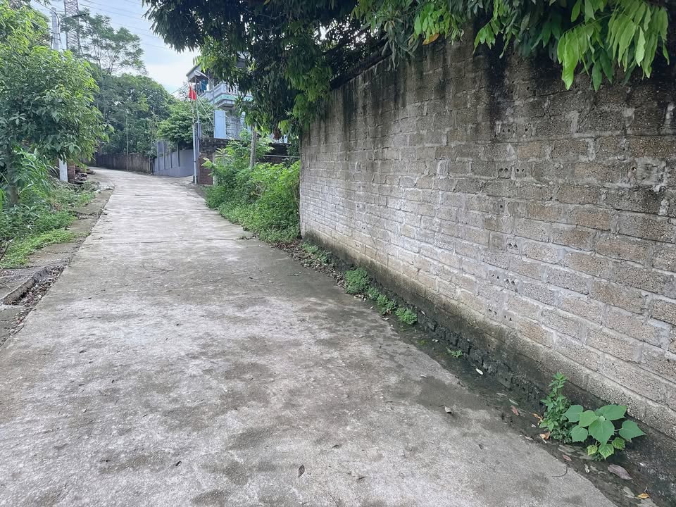 Đất nền khu phố 12 Kim Đức 72m² giá 900 triệu - Cơ hội đầu tư tuyệt vời!