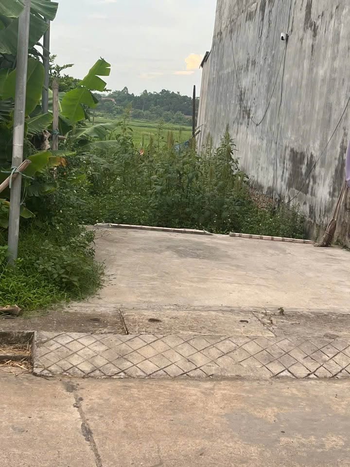 Đất nền tại Thanh Đình, Việt Trì 100m² - Vị trí đẹp kinh doanh sầm uất!