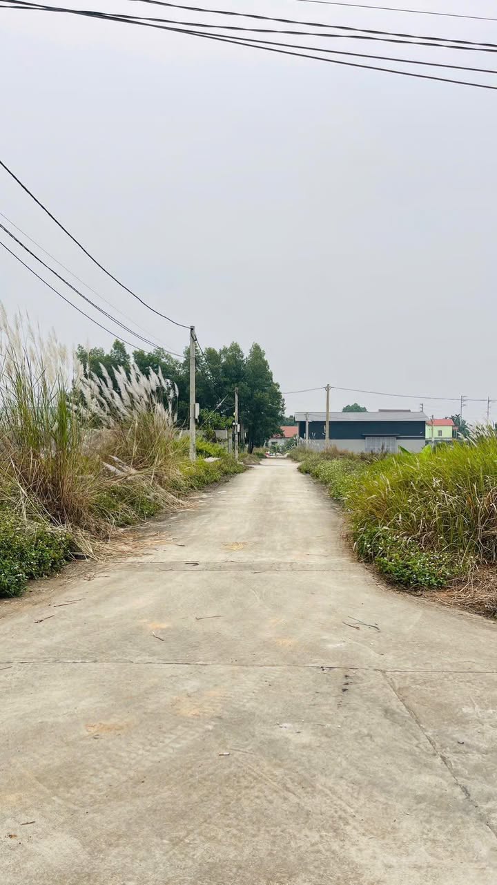 Đất nền Dân Quyền, Tam Nông, Phú Thọ 150m² - Cơ hội đầu tư vàng không thể bỏ lỡ!