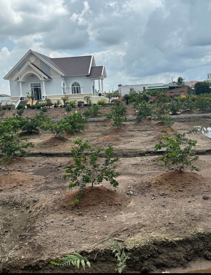 Đất vườn ấp 4, xã Bình Đức, Bến Lức, 1875m² giá 1,1 tỷ - Sổ hồng riêng, pháp lý rõ ràng!