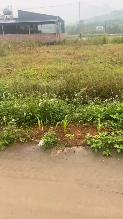 Đất đấu giá Thượng Long, Yên Lập 240m² - Gần trung tâm xã, giá chỉ 800 triệu!