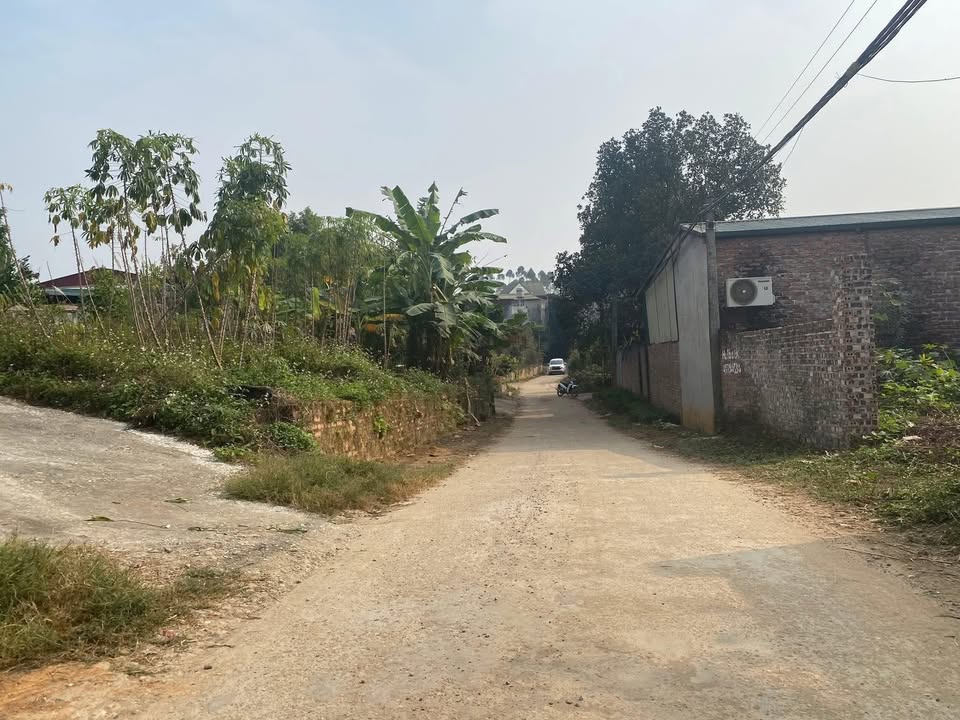 Đất thổ cư khu 3 Phú Hộ, Phú Thọ 145m² giá 1.1 tỷ - Đầu tư sinh lời tốt!