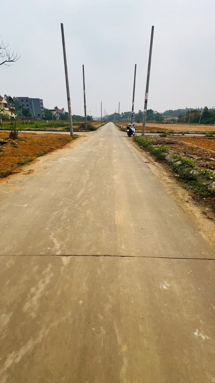 Đất nền tại khu phố 12, Tiên Kiên, Lâm Thao, Phú Thọ - Diện tích 100m², Giá 920 triệu - Đầu tư lý tưởng cho tương lai!