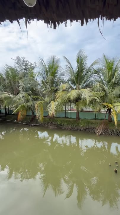 Biệt thự nghỉ dưỡng Hiệp Phước 654m² giá 3.6 tỷ - View sông tuyệt đẹp!