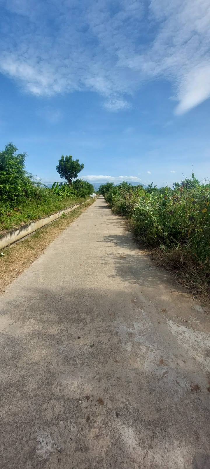 Đất nền Liên Sơn 2, Ninh Phước 3.339m² giá chỉ 1.2 tỷ - Đường bê tông thông thoáng!