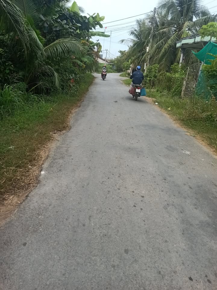 Đất nền Mỹ Nhơn, Ba Tri, Bến Tre 55m² giá 80 triệu - Đầu tư sinh lời ngay!