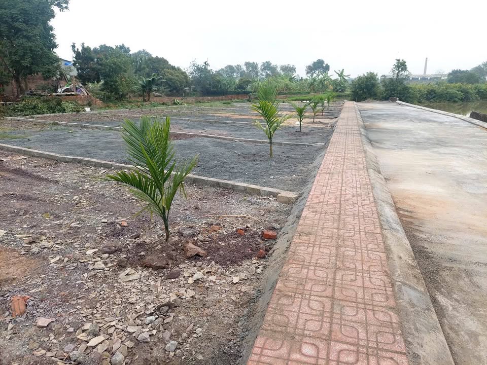 Lô đất thôn Gò Mái, xã Hợp Tiến 84.3m² chỉ 843 triệu - Cơ hội đầu tư hấp dẫn!