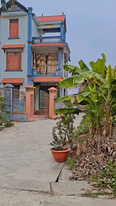 Đất nền Đại Sơn Tứ Kỳ 190m² giá chỉ 1 tỷ - Cơ hội đầu tư không thể bỏ lỡ!