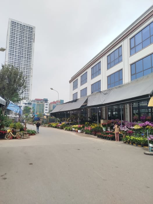 Đất đấu giá Đồng Sen Vạn Phúc 47m² giá 16 tỷ - Cơ hội đầu tư tuyệt vời!